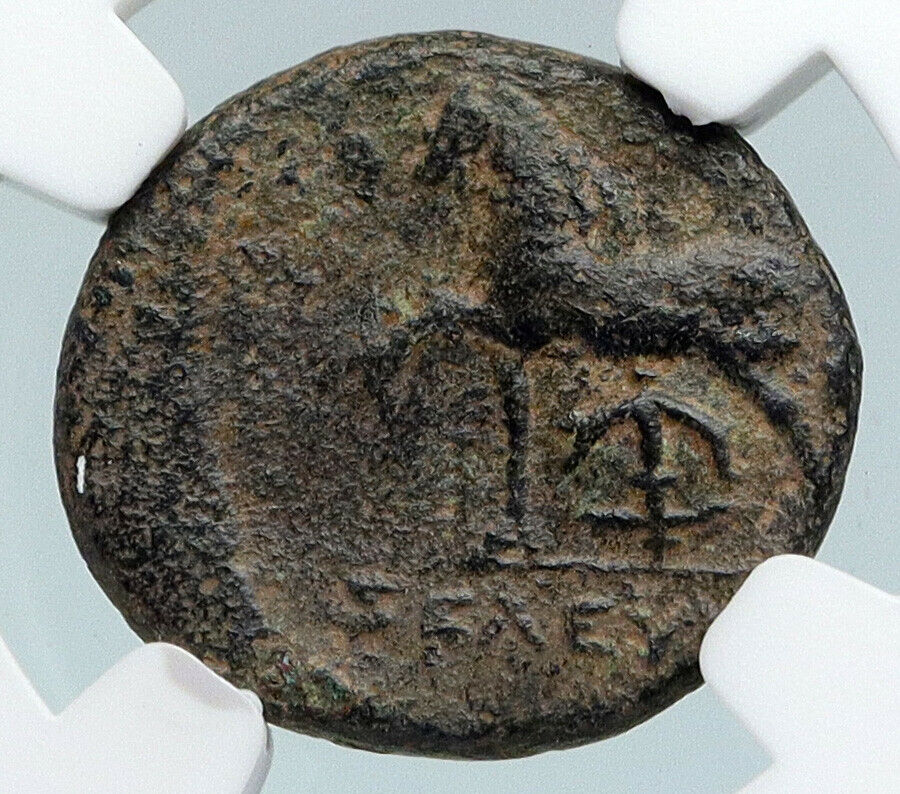 SELEUKOS II Kallinikos 246BC OLD Ancient SELEUKID Greek Coin HORSE NGC i89750