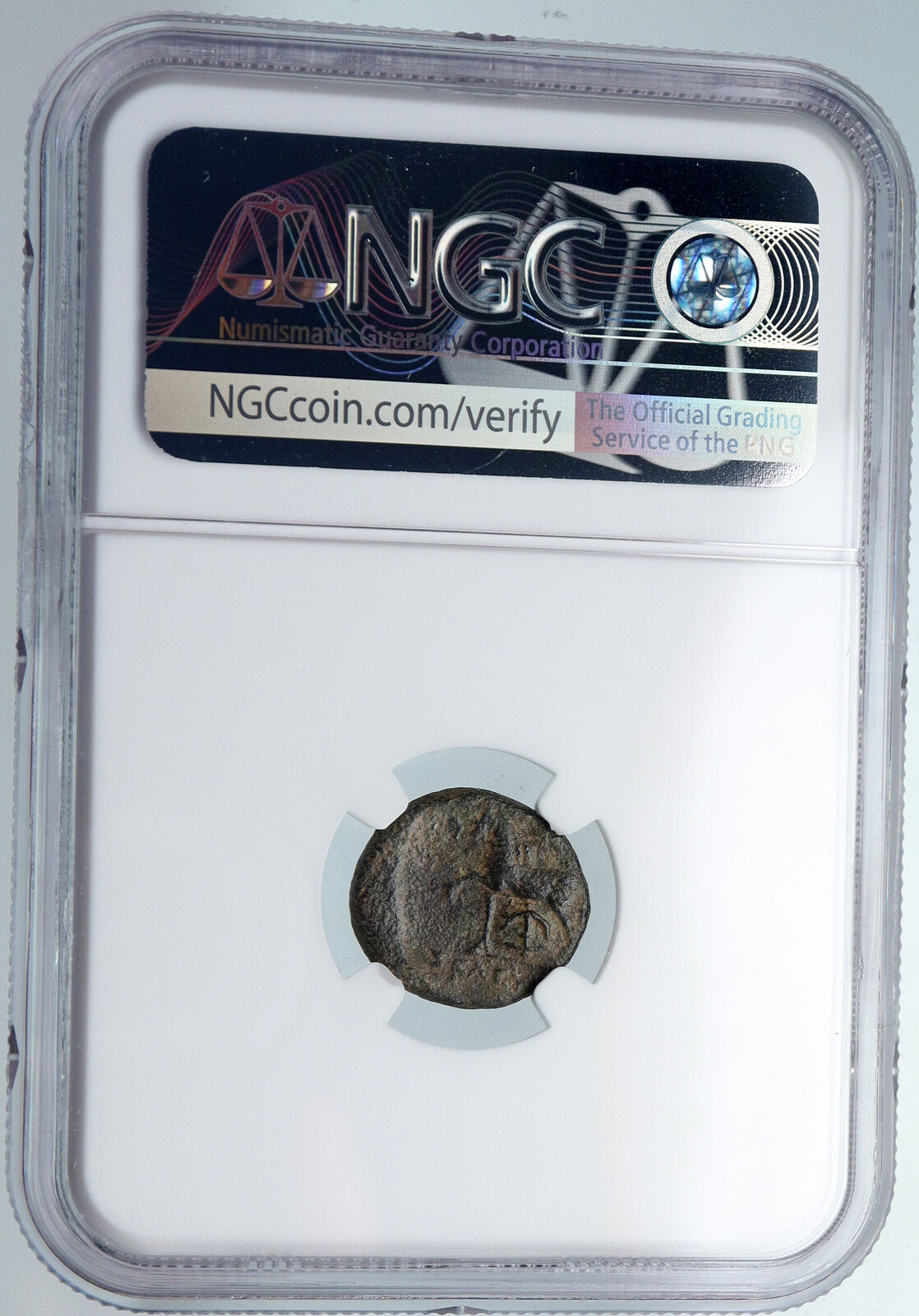 SELEUKOS II Kallinikos 246BC OLD Ancient SELEUKID Greek Coin HORSE NGC i89750