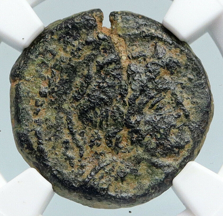 ANTIOCHUS IX Cyzicenus SELEUCID KING 112BC Ancient Greek Coin EROS NGC i89754