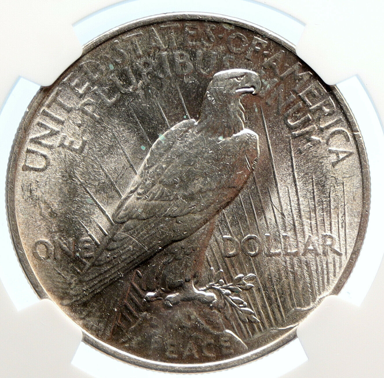 1924 P US Silver PEACE DOLLAR United States Coin w LIBERTY & EAGLE NGC i95614