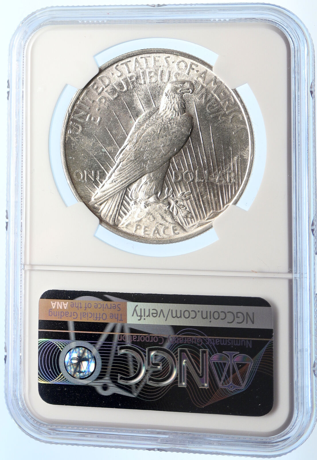 1924 P US Silver PEACE DOLLAR United States Coin w LIBERTY & EAGLE NGC i95614