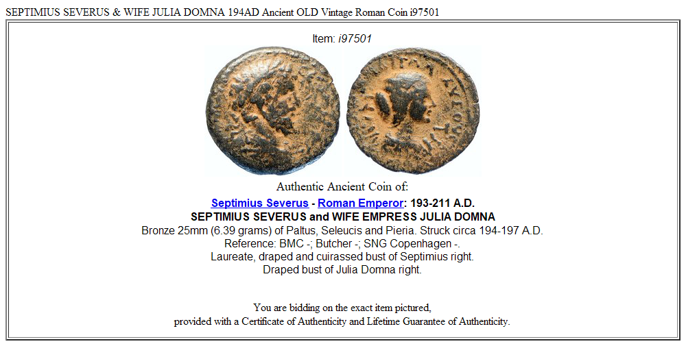 SEPTIMIUS SEVERUS & WIFE JULIA DOMNA 194AD Ancient OLD Vintage Roman Coin i97501