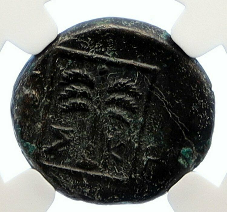 SKEPSIS in TROAS 400BC Pegasus Fir Tree Authentic Ancient Greek Coin NGC i95576