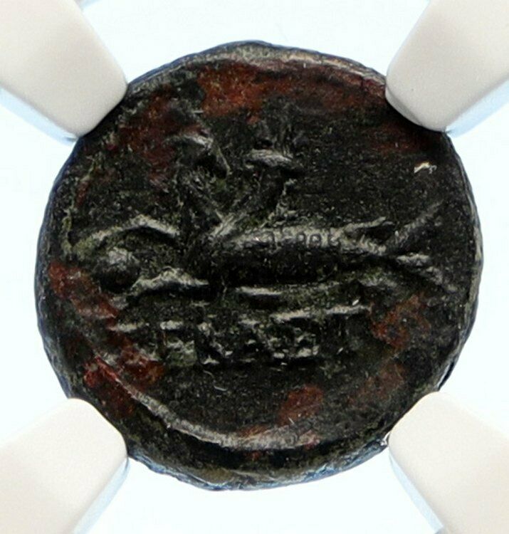 AUGUSTUS Authentic Ancient OLD 27BC Rome Roman Coin CAPRICORN APOLLO NGC i95583