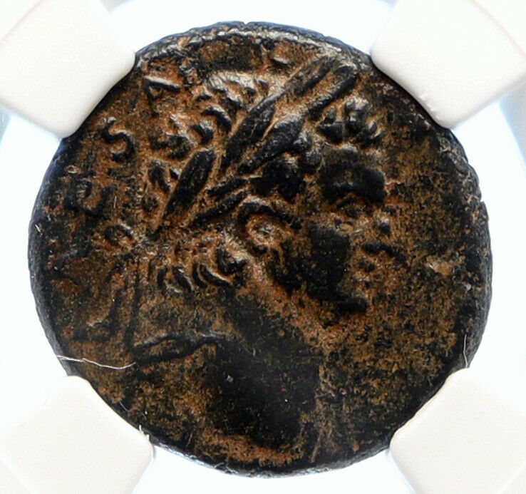 TITUS as Caesar Vespasian 76AD Rome ANTIQUE OLD Ancient Roman Coin NGC i95590