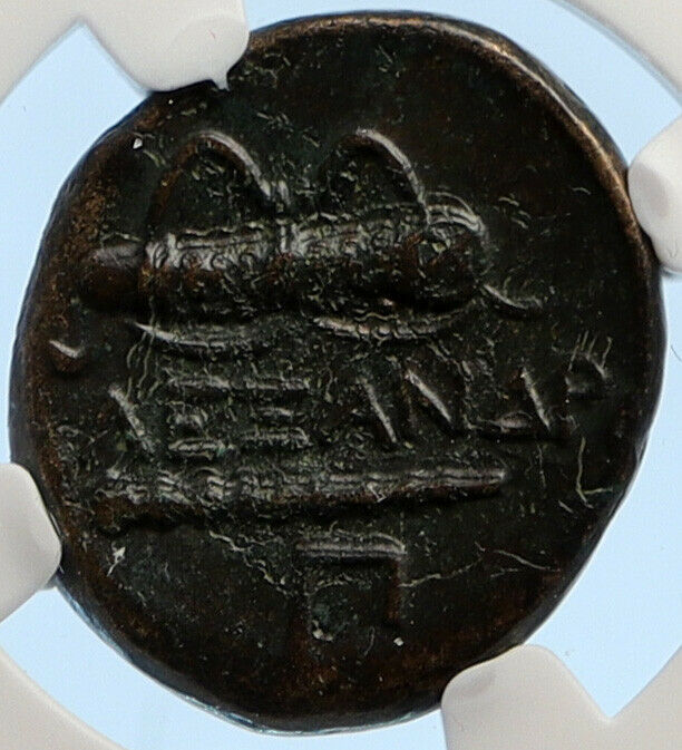 ALEXANDER III the GREAT Hercules Club Macedonia Ancient Greek Coin NGC i95638