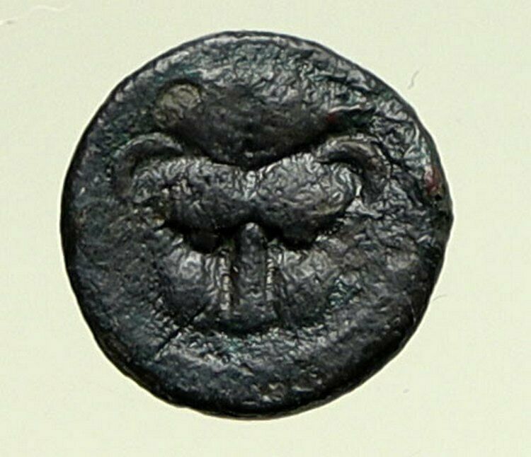 RHEGION in BRUTTIUM 450BC Ancient ANTIQUE Old Greek LION SCALP OLIVE Coin i95194