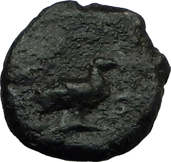 ANONYMOUS 81-196AD Rome Quadrans Authentic Ancient Roman Coin VENUS DOVE i65523