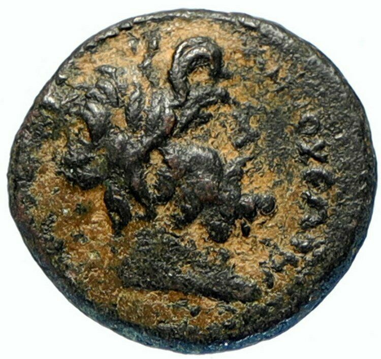 ANTIOCH on the Orontes in Seleukis Authentic Ancient 68AD Greek Coin ZEUS i97464