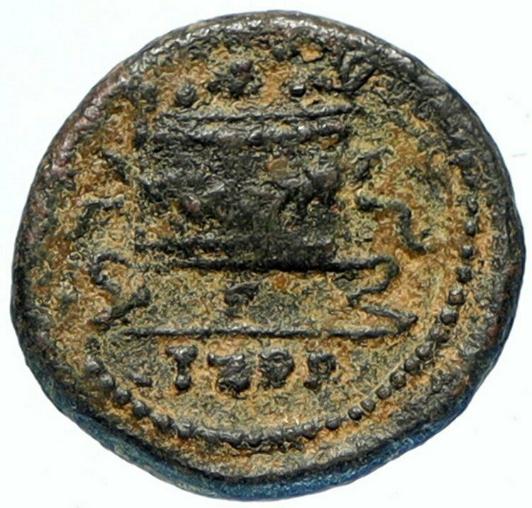 ANTIOCH on the Orontes in Seleukis Authentic Ancient 68AD Greek Coin ZEUS i97464