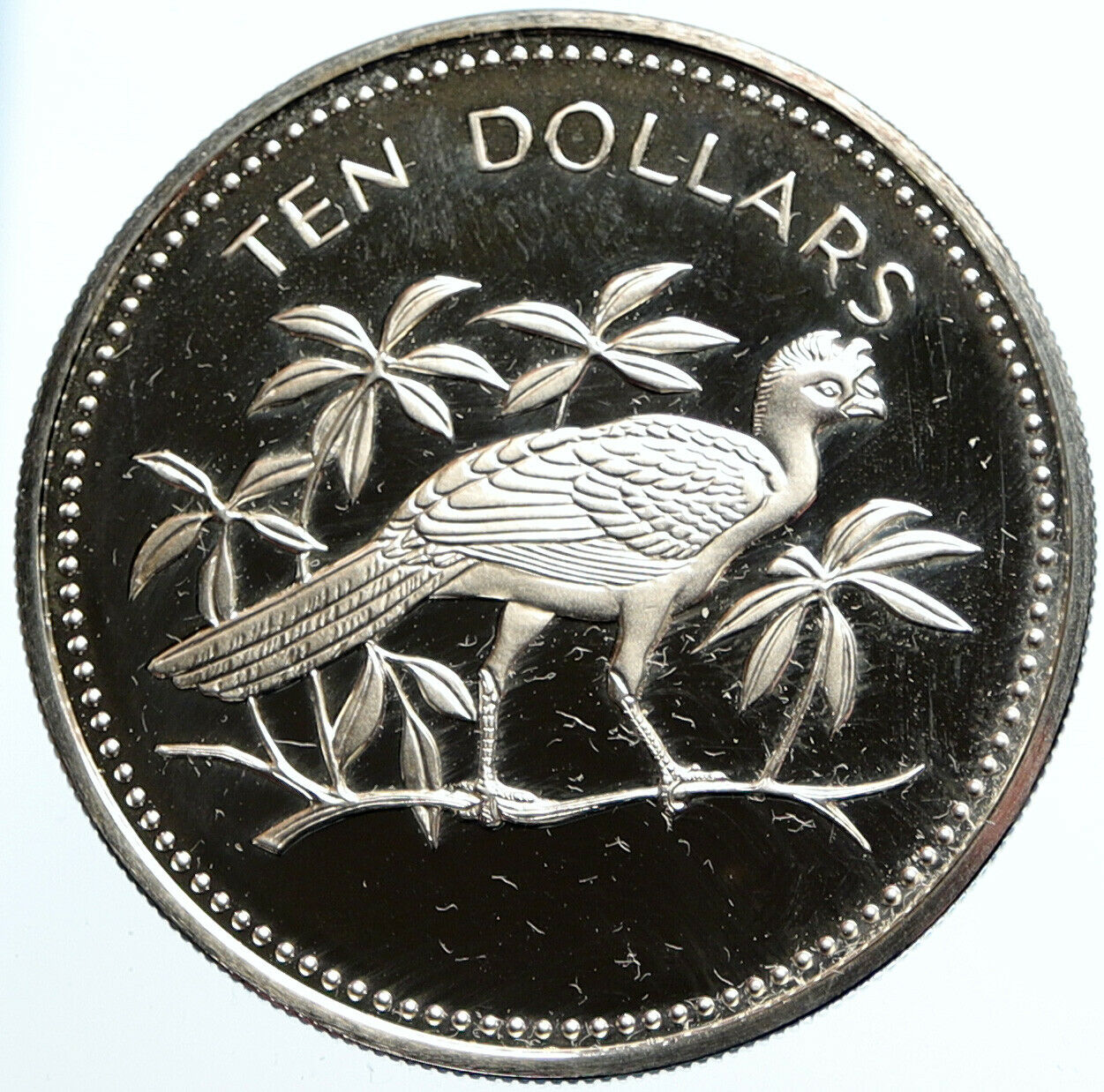 1978 BELIZE Avifauna Scarlet Macaw BIRD Old VINTAGE Proof Silver $10 Coin i99448