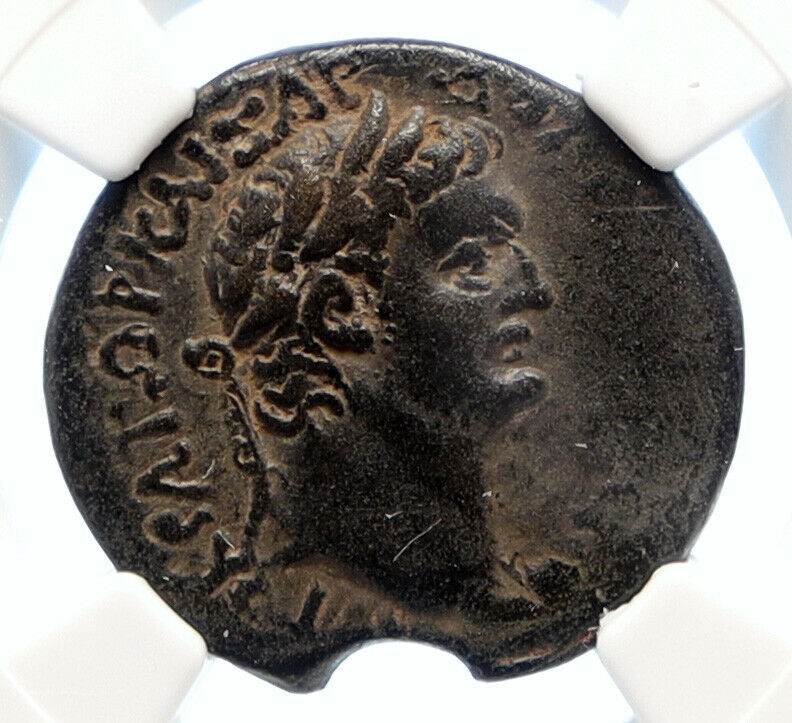 DOMITIAN 93AD Irenopolis in Cilicia ANTIQUE OLD Ancient Roman Coin NGC i95573