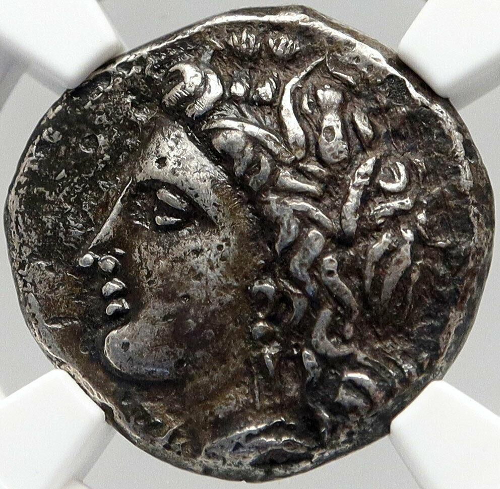 METAPONTION LUCANIA Genuine Ancient 330BC Silver Greek Coin DEMETER NGC i83546