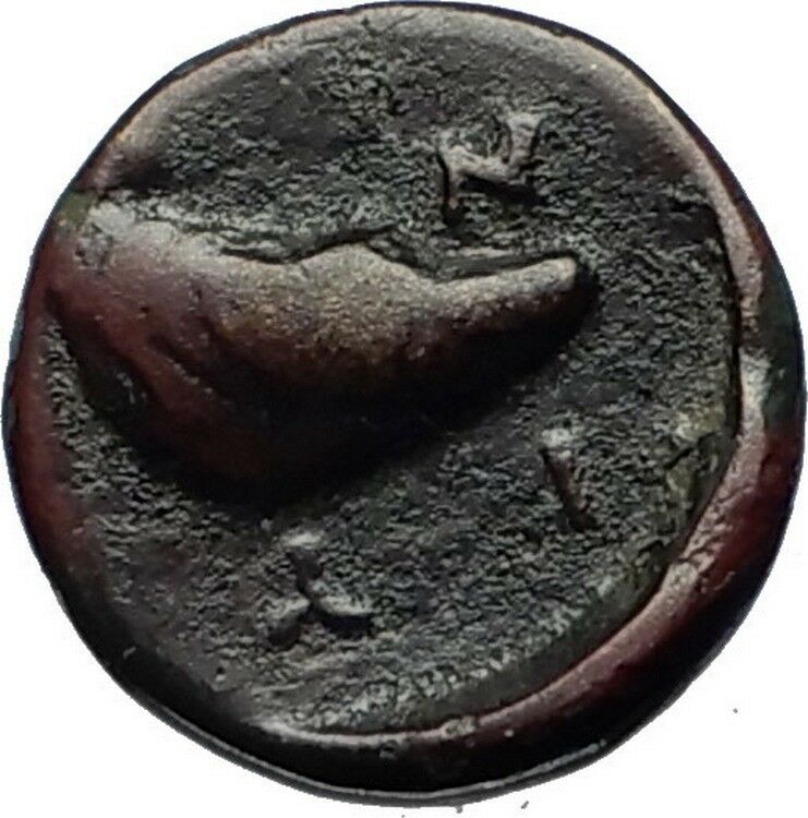 GRYNION or Gyrneion Aeolis 306BC Apollo Shell RARE Ancient Greek Coin i69484