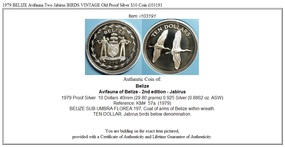 1979 BELIZE Avifauna Two Jabirus BIRDS VINTAGE Old Proof Silver $10 Coin i103191