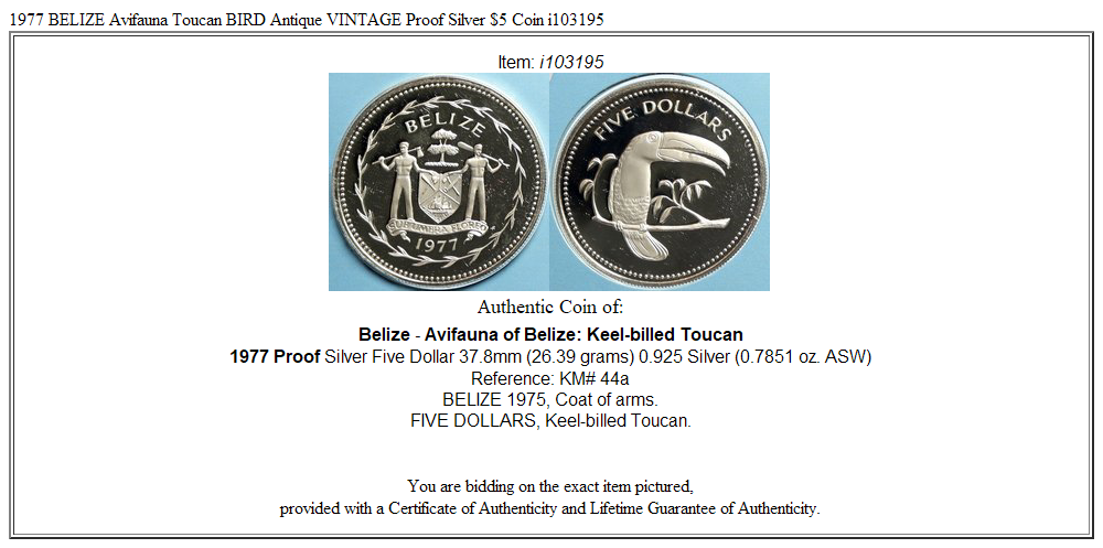 1977 BELIZE Avifauna Toucan BIRD Antique VINTAGE Proof Silver $5 Coin i103195