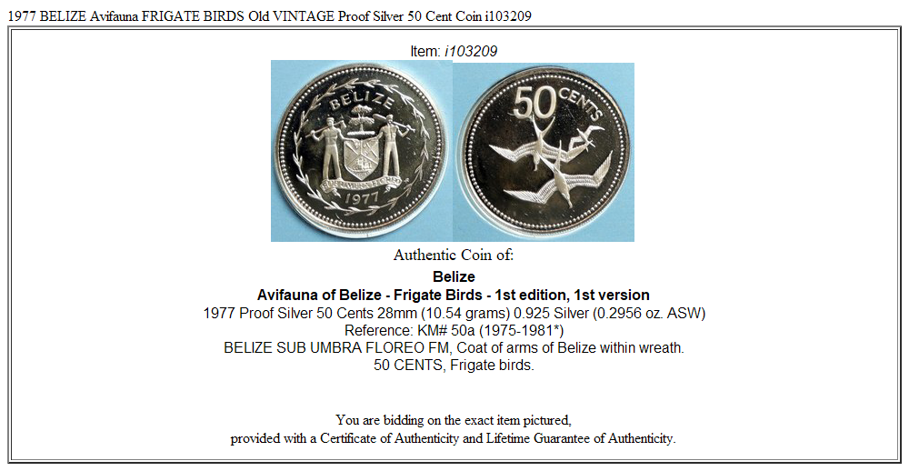 1977 BELIZE Avifauna FRIGATE BIRDS Old VINTAGE Proof Silver 50 Cent Coin i103209