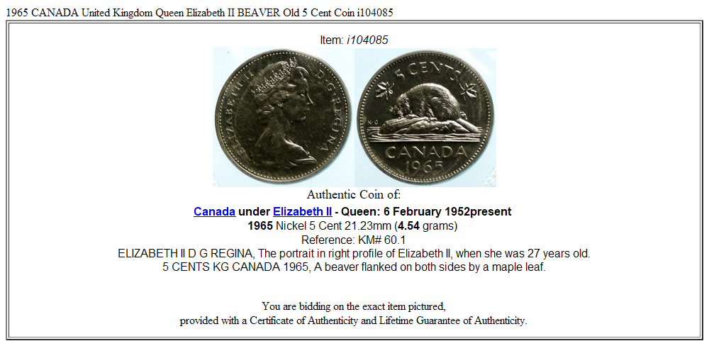 1965 CANADA United Kingdom Queen Elizabeth II BEAVER Old 5 Cent Coin i104085