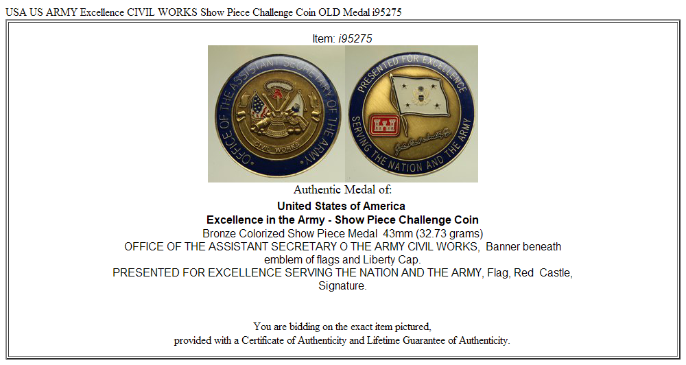 USA US ARMY Excellence CIVIL WORKS Show Piece Challenge Coin OLD Medal i95275