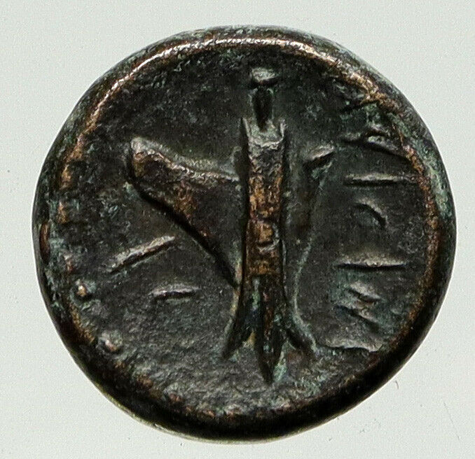 ARADOS in PHOENICIA Authentic Ancient 206BC Greek Coin w ZEUS & GALLEY i93230