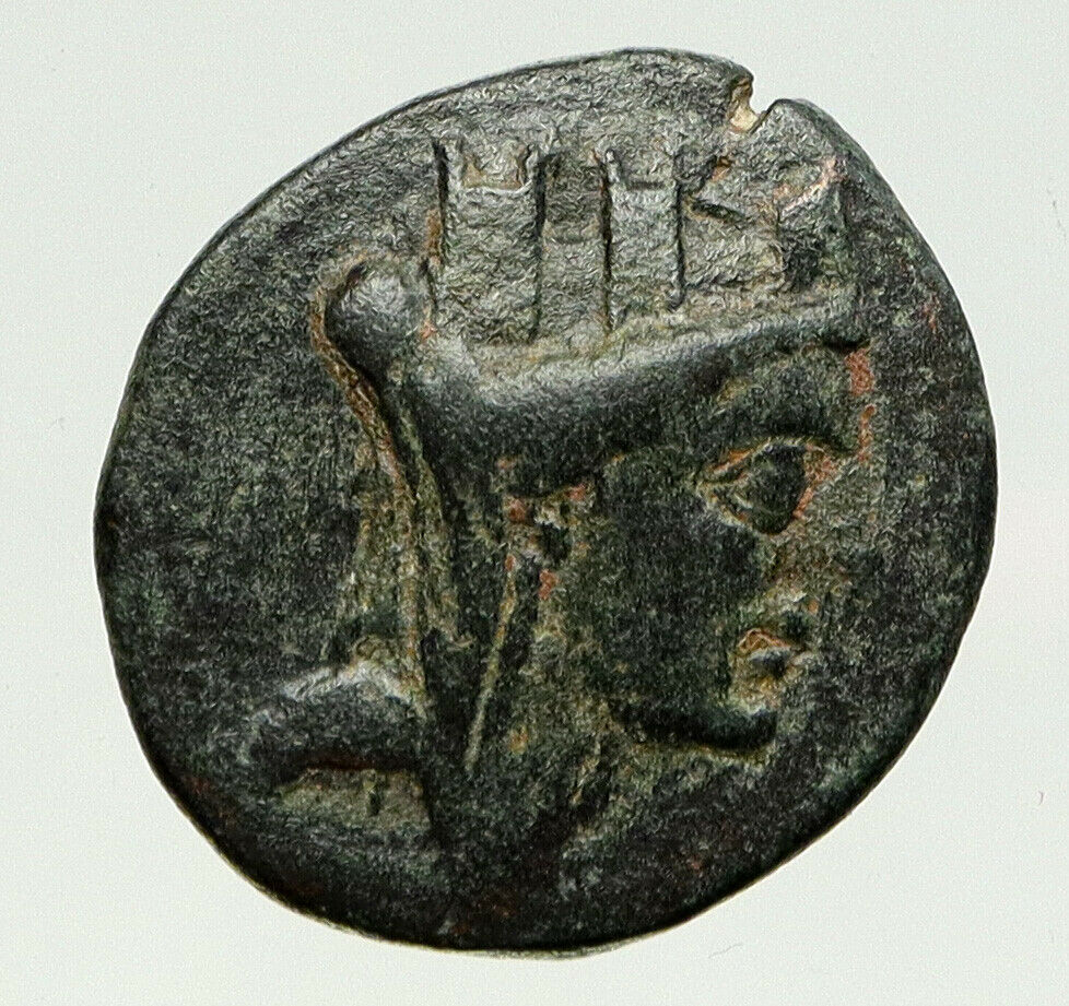 APAMEIA in Seleukis & Pieria Ancient Authentic ANTIQUE Greek Coin ATHENA i93228