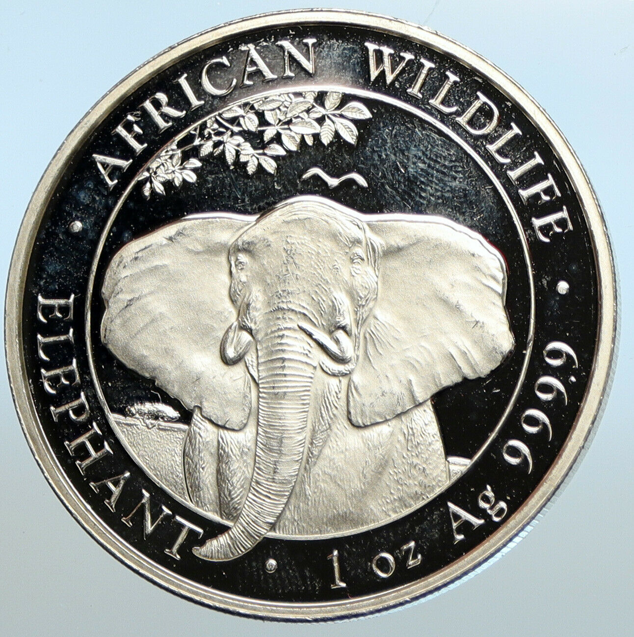 2021 SOMALIA REPUBLIC Elephant African Wildlife Proof Silver 100Sh Coin i100680