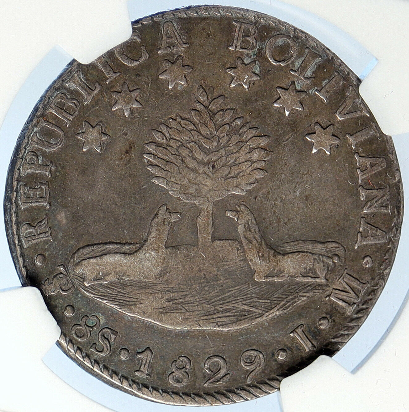 1829 BOLIVIA Antique SIMON BOLIVAR ALPACA Silver 8 Soles Silver Coin NGC i106058