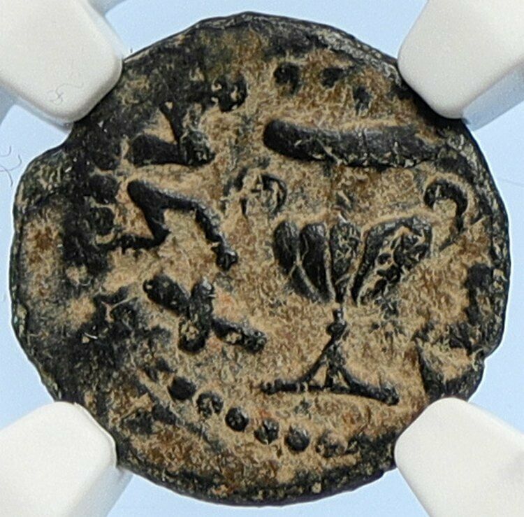 Authentic Ancient JEWISH WAR v ROMANS 67AD Historical JERUSALEM Coin NGC i106084