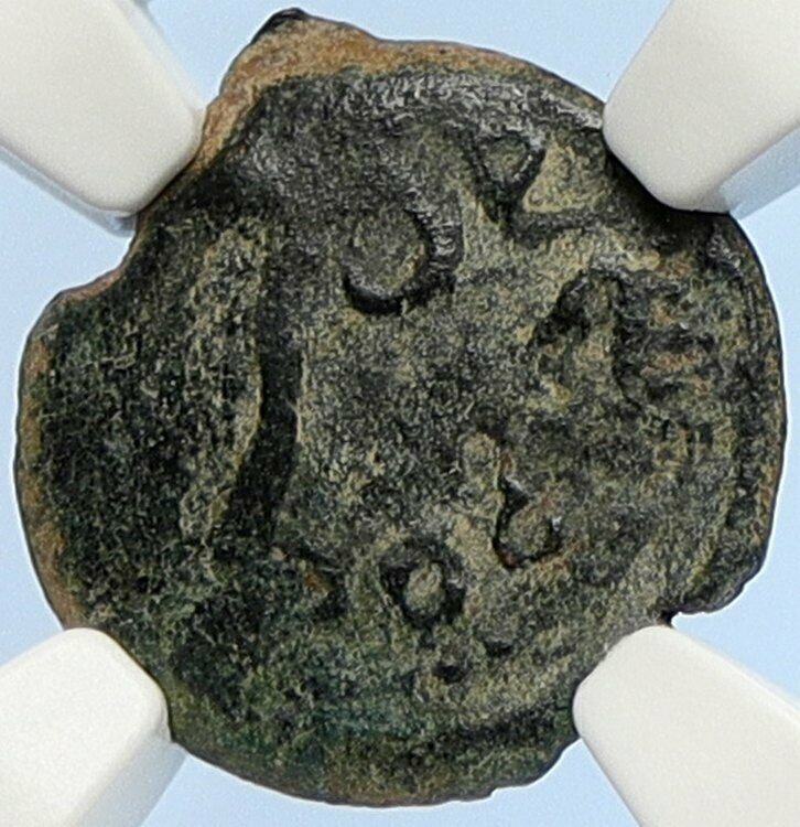 PONTIUS PILATE Tiberius Jerusalem JESUS CHRIST TRIAL Old Roman Coin NGC i106103