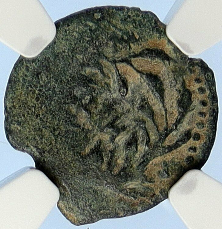 PONTIUS PILATE Tiberius Jerusalem JESUS CHRIST TRIAL Old Roman Coin NGC i106103