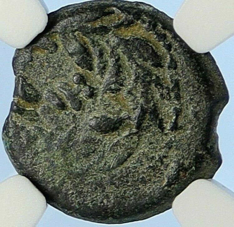 PONTIUS PILATE Tiberius Jerusalem JESUS CHRIST TRIAL Old Roman Coin NGC i106099