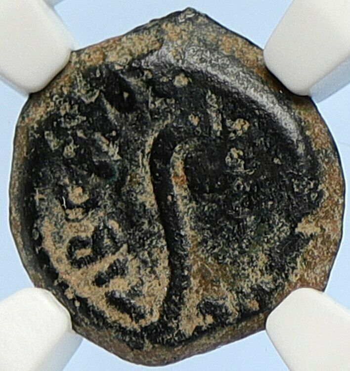 PONTIUS PILATE Tiberius Jerusalem JESUS CHRIST TRIAL Old Roman Coin NGC i106101