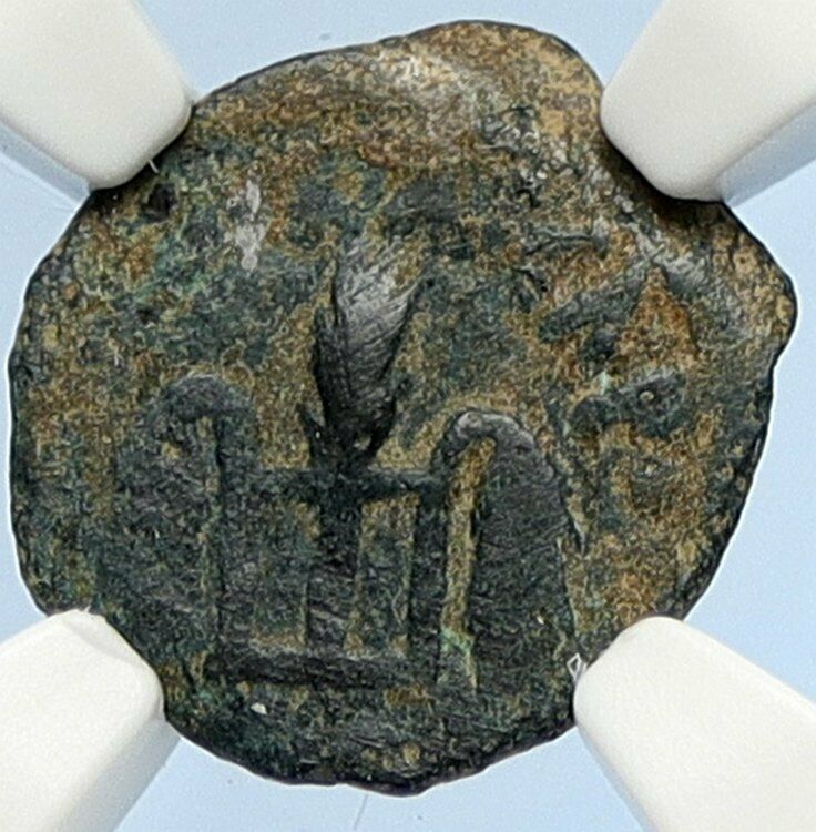 PONTIUS PILATE Tiberius Jerusalem JESUS CHRIST TRIAL Old Roman Coin NGC i106141