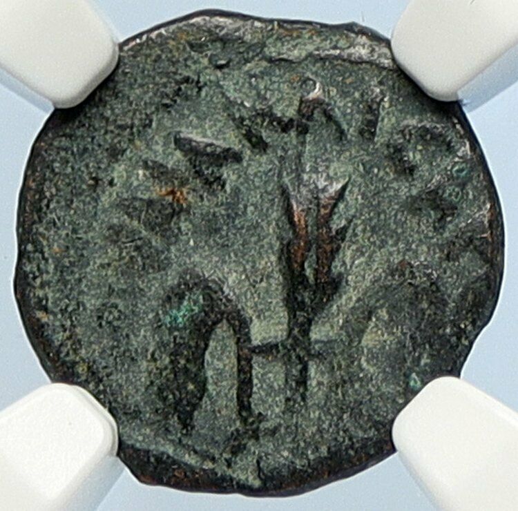 PONTIUS PILATE Tiberius Jerusalem JESUS CHRIST TRIAL Old Roman Coin NGC i106146