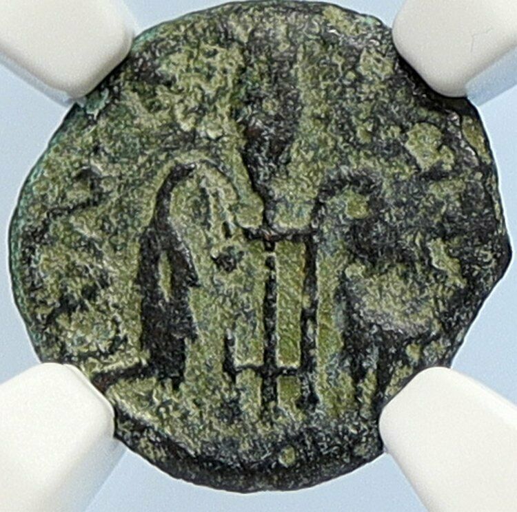 PONTIUS PILATE Tiberius Jerusalem JESUS CHRIST TRIAL Old Roman Coin NGC i106139