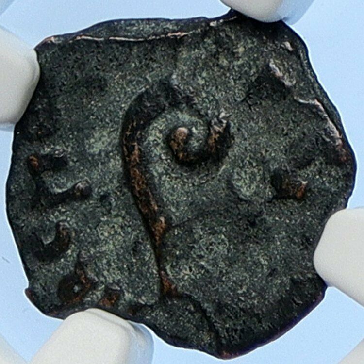 PONTIUS PILATE Tiberius Jerusalem JESUS CHRIST TRIAL Old Roman Coin NGC i106172