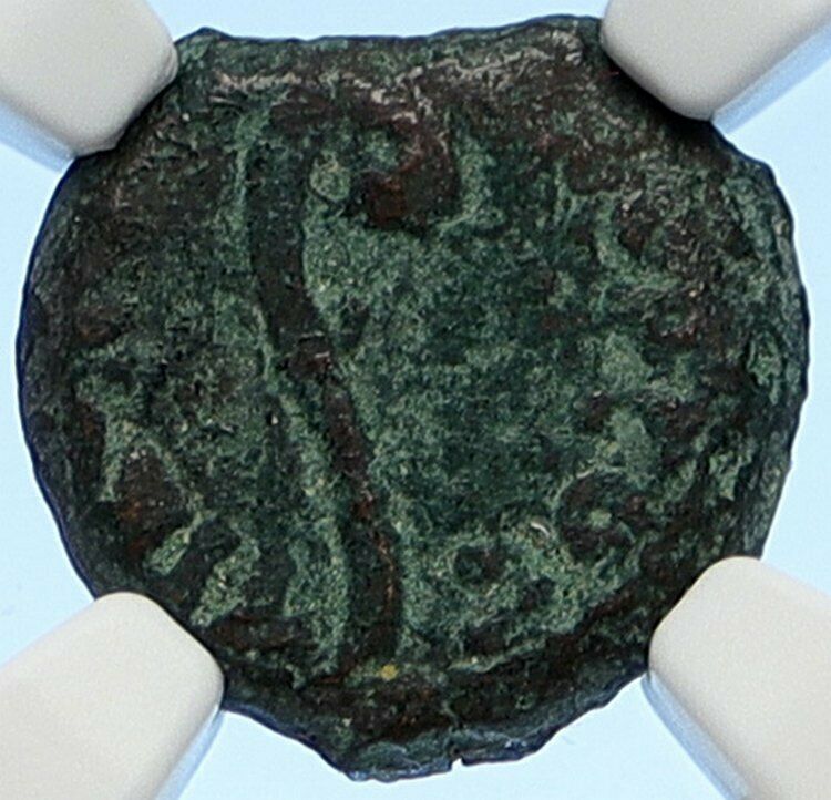 PONTIUS PILATE Tiberius Jerusalem JESUS CHRIST TRIAL Old Roman Coin NGC i106175