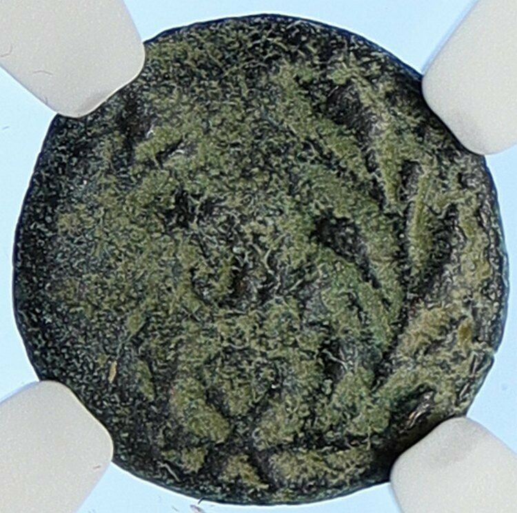 PONTIUS PILATE Tiberius Jerusalem JESUS CHRIST TRIAL Old Roman Coin NGC i106174