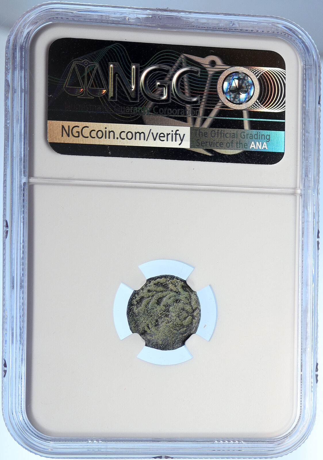 PONTIUS PILATE Tiberius Jerusalem JESUS CHRIST TRIAL Old Roman Coin NGC i106174