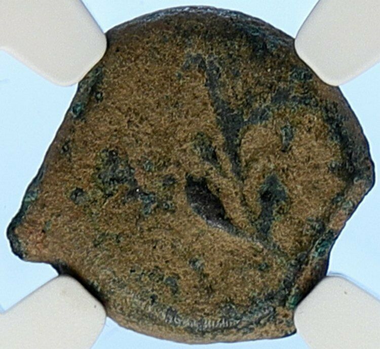 PONTIUS PILATE Tiberius Jerusalem JESUS CHRIST TRIAL Old Roman Coin NGC i106177