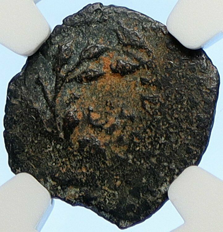 PONTIUS PILATE Tiberius Jerusalem JESUS CHRIST TRIAL Old Roman Coin NGC i106189