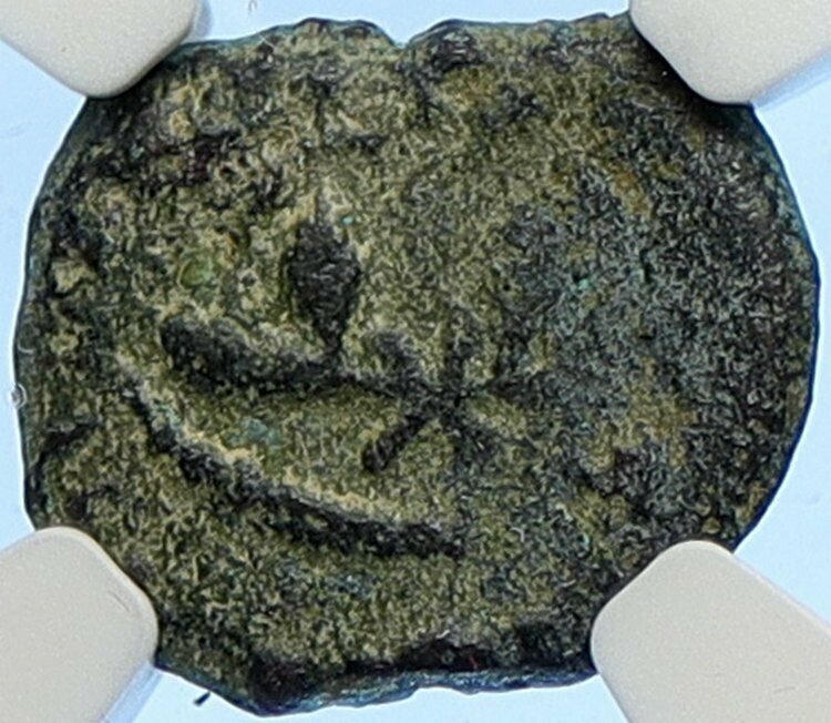 PONTIUS PILATE Tiberius Jerusalem JESUS CHRIST TRIAL Old Roman Coin NGC i106190