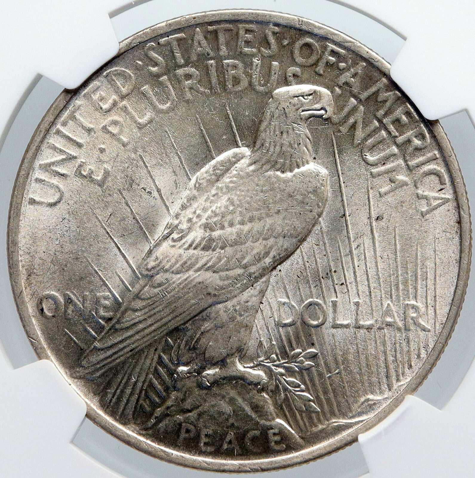 1923 US Silver PEACE DOLLAR Large United States Coin LIBERTY & EAGLE NGC i89188