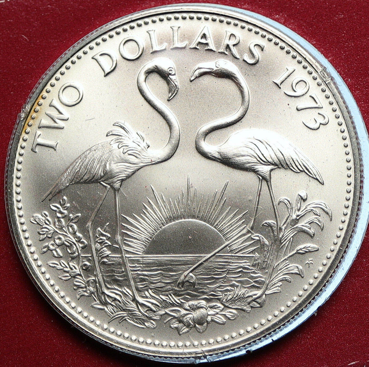 1975 BAHAMAS TWO FLAMINGOS Vintage BU Specimen Silver 2 Dollars Coin i104776