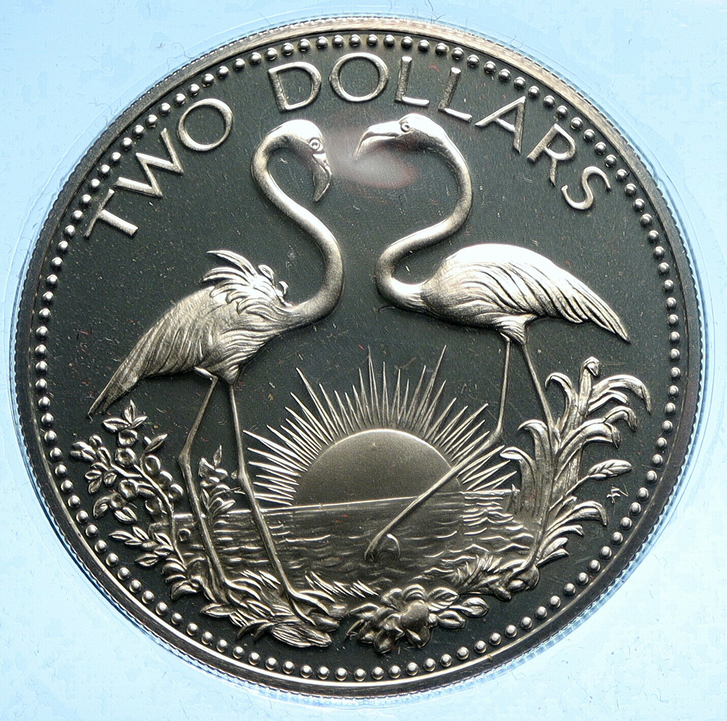 1974 The BAHAMAS Islands FLAMINGOS Vintage Proof Silver 2 Dollar Coin i104802