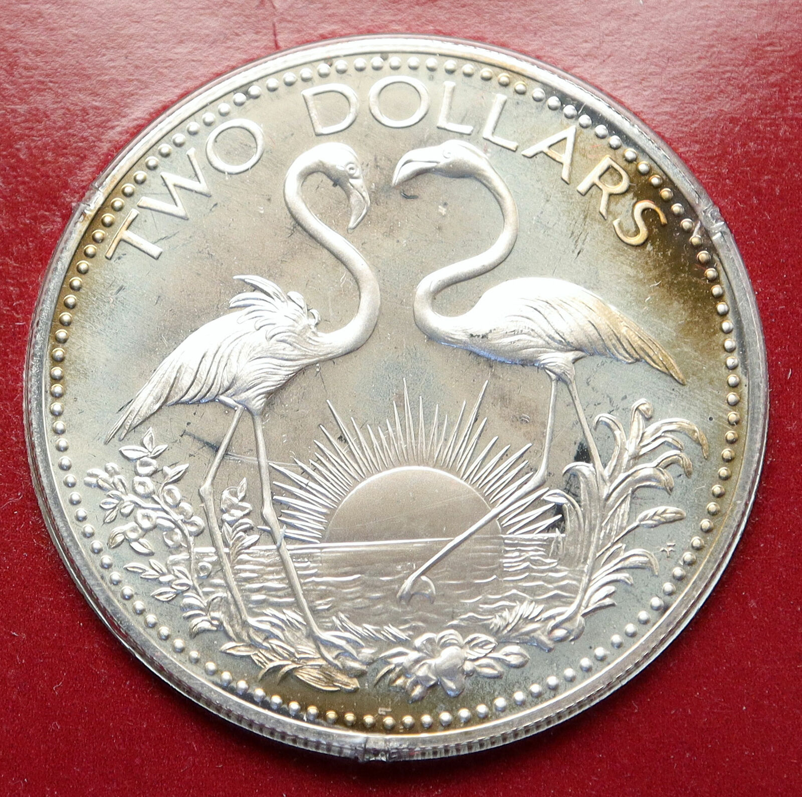 1974 The BAHAMAS Islands TWO FLAMINGOS Vintage Proof Silver 2 Dollar Coin i85622