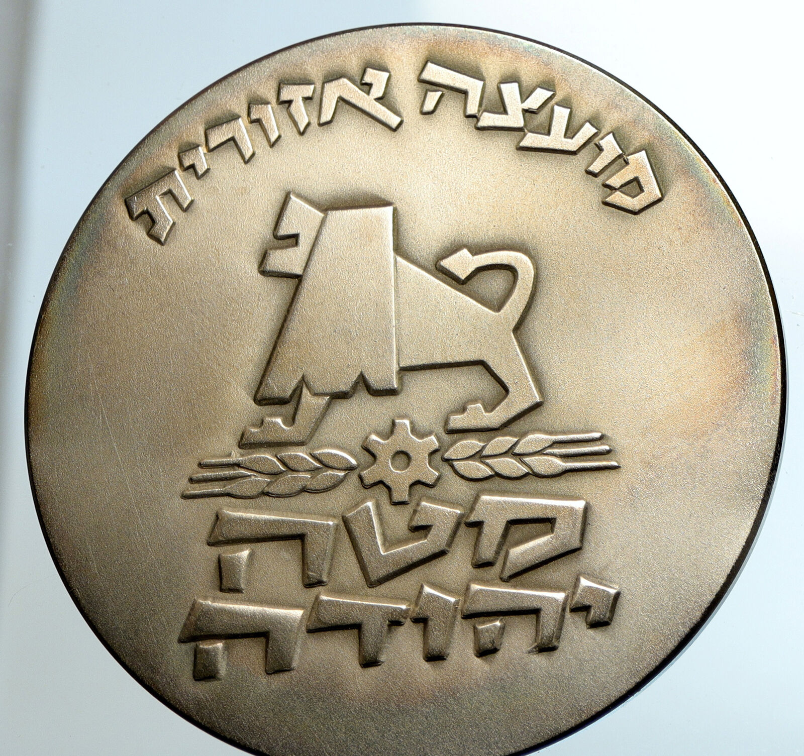 1976 ISRAEL Large MATEH YEHUDA TOWNSHIP Tribe Judah VINTAGE Silver Medal i102126