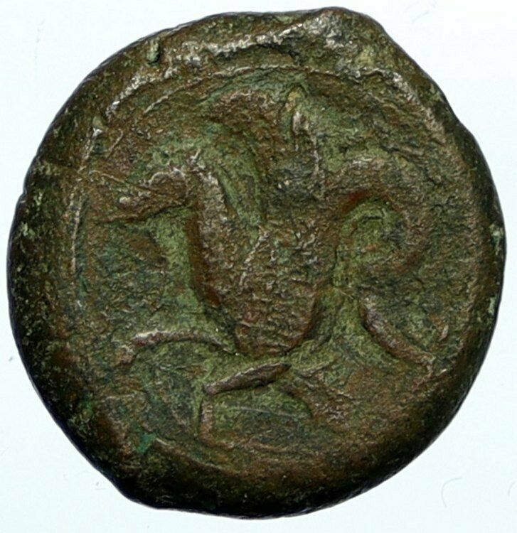 SYRACUSE SICILY ANTIQUE Ancient Greek Old Coin ATHENA STARFISH DOLPHINS i99417