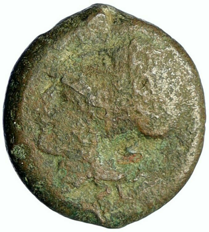 SYRACUSE SICILY ANTIQUE Ancient Greek Old Coin ATHENA STARFISH DOLPHINS i99417