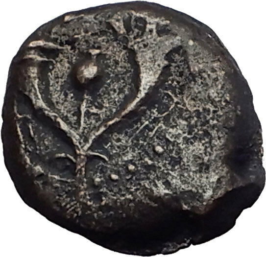 Jewish King ALEXANDER JANNAEUS Ancient Jerusalem WIDOW's MITE Bible Coin i62725